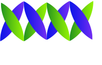 Webmasters of OKC